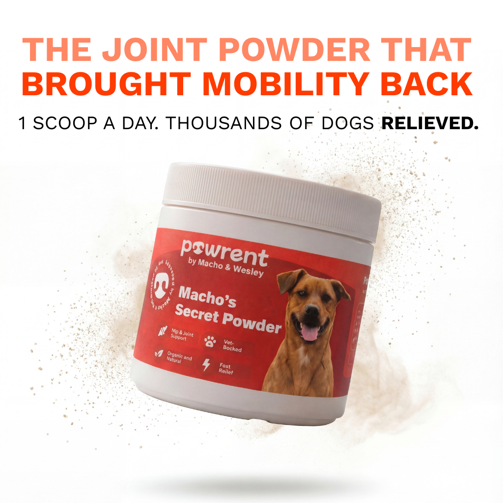 The Pawrent - Hip & Joint Powder